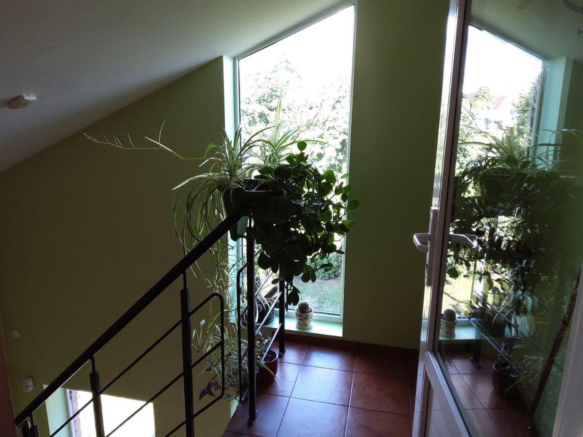 Apartamentai Geguciu Gatveje Klaipeda Exterior foto